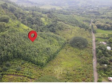 Finca de Cacao en Venta