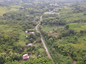 Finca de Cacao en Venta