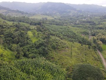 Finca de Cacao en Venta