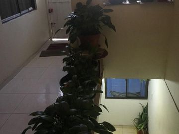 SE VENDE CASA RENTABLE  EN  BRITALIA LOCALIDAD KENNEDY EN BOGOTA