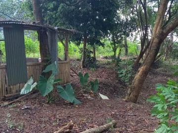 Tanah termurah dibawah harga NJOP pinggir jalan Sawangan