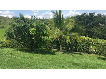 VENTA CASA CAMPESTRE EN VEREDA PALERMO, NEIRA | CASA DE CAMPO EN VENTA