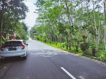Tanah Pekarangan Luas Lokasi Pinggir Jalan Turi, Sleman