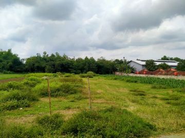 Jual Tanah Murah Industrial di Kawasan Prambanan