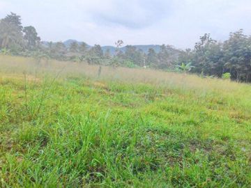Jual Tanah Murah Dekat Bandara Depati Amir