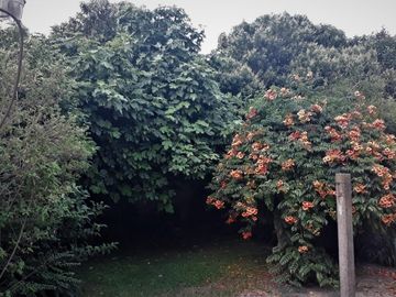 OPORTUNIDAD UNICA EN PARQUE LELOIR SOBRE COLECTORA, CASA 4 AMB. JARDIN, COCHERAS, S/LOTE 10X..., APTO PROFESIONAL/COMERCIAL