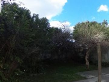 OPORTUNIDAD UNICA EN PARQUE LELOIR SOBRE COLECTORA, CASA 4 AMB. JARDIN, COCHERAS, S/LOTE 10X..., APTO PROFESIONAL/COMERCIAL