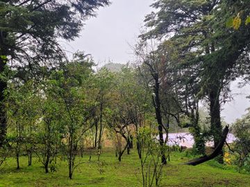 Se vende casa con dos cabañas en el Pueblo Mágico de Mineral del Chico, Hidalgo.