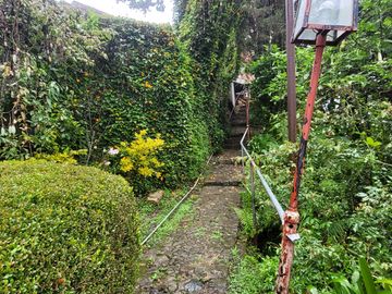Se vende casa con dos cabañas en el Pueblo Mágico de Mineral del Chico, Hidalgo.
