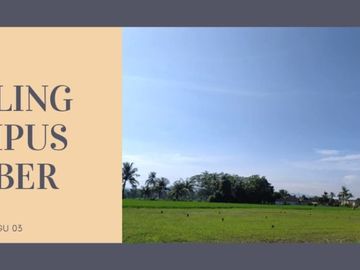 tanah kavling berkualitas di jember lokasi dekat kanpus