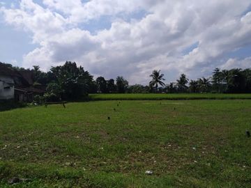 tanah kavling berkualitas di jember lokasi dekat kanpus