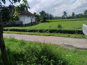 tanah kavling berkualitas di jember lokasi dekat kanpus
