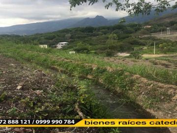 Terreno de venta en Yunguilla Cataviña – código:10780