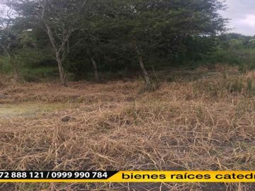 Terreno de venta en Yunguilla Cataviña – código:10780