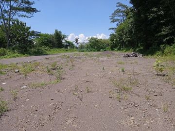 Tanah Dijual Sardonoharjo, Lokasi Selatan Kampus UII Terpadu