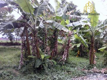 Tanah di Rancaekek Bonus Beberapa Kios dan Rumah | LINDAY