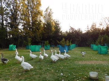 Casa en Venta en Liray - Lo Pinto -Santa Elena