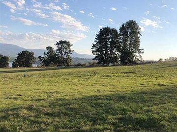 Parcela en Venta en Lago Panguipulli