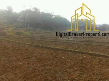 TANAH SUBUR COCOK UNTUK INVEST... INSYAA ALLOH BIKIN OWNER MAKMUR | KOMALANINGSIH