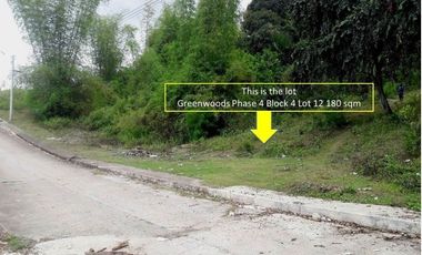180 Sqm Residential Lot for Sale in Greenwoods near Talamban Cebu City