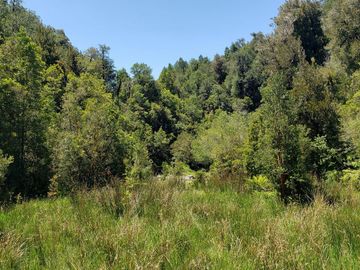 Hermoso Predio 72ha En Corral, Vista Al Mar, Bosque Nativo Y Más