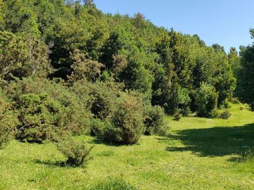 Hermoso Predio 72ha En Corral, Vista Al Mar, Bosque Nativo Y Más