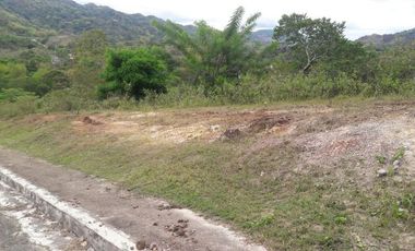 204 Sqm Ready for Building Lot for Sale in Pulangbato Cebu City near Talamban with view