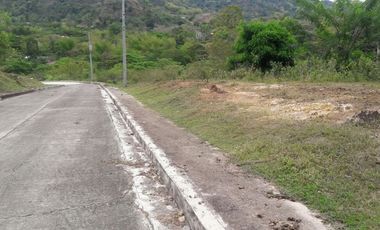 204 Sqm Ready for Building Lot for Sale in Pulangbato Cebu City near Talamban with view