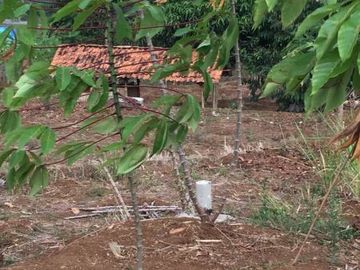 Tanah Darat dekat Perumahan Parungkuda Sukabumi | IWANS