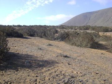Terreno 5000mts2 En Condominio Hacienda Del Mar