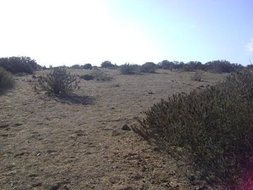 Terreno 5000mts2 En Condominio Hacienda Del Mar