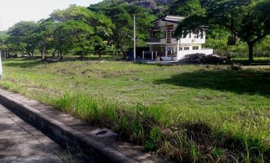 Aspen Heights Lowest Price! 160 Sqm Lot for Sale in Consolacion Cebu