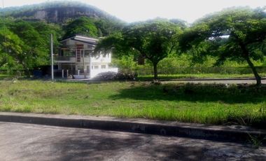 Aspen Heights Lowest Price! 160 Sqm Lot for Sale in Consolacion Cebu