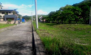 Aspen Heights Lowest Price! 160 Sqm Lot for Sale in Consolacion Cebu