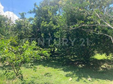 EN VENTA  HERMOSA FINCA EN MARIQUITA TOLIMA