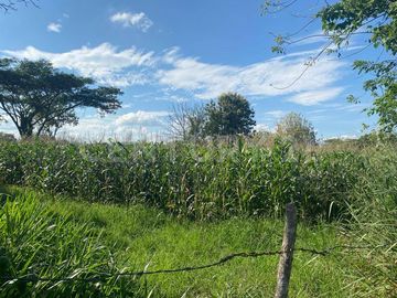 EN VENTA  HERMOSA FINCA EN MARIQUITA TOLIMA