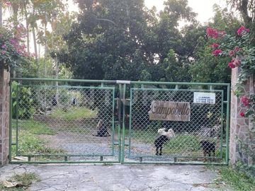 EN VENTA  HERMOSA FINCA EN MARIQUITA TOLIMA