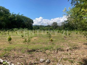 EN VENTA  HERMOSA FINCA EN MARIQUITA TOLIMA