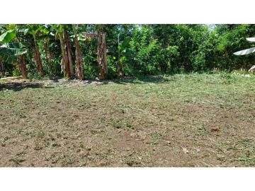 VENDO LOTE DE 6220m2 BOQUERON