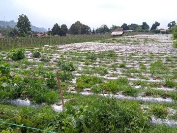 Jual Rumah Di Cluster Wira Cakra Village Cisarua Lembang