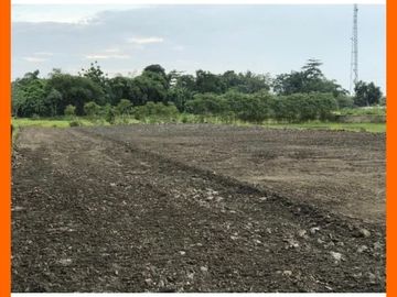 Selatan Stasiun Delanggu, Hanya 700rb: Legalitas SHM P