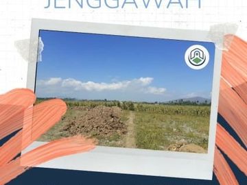 Jadilah Juragan Tanah Hanya Dengan 40jutaan di Jember