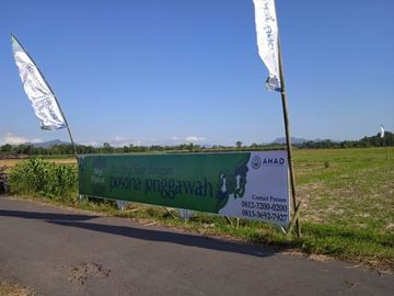 Kavling Pesona Jenggawah. dijual dengan harga yang sangat kompetitif