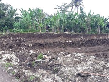 Rumah Etnik Jawa Modern Lokasi Strategis SHM