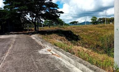 Overlooking 105 Sqm Lot for Sale in Aspen Heights Consolacion Cebu with Mountain View