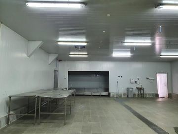 Planta Procesos, Calle El Teniente , Puerto Montt