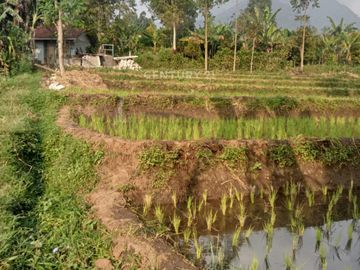 DIJUAL Rumah Dengan Tanah Yang Luas Di Daerah Bandung