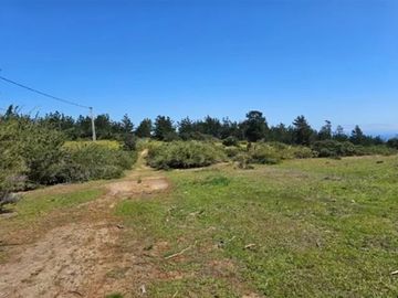 Las Dichas Algarrobo 100% Plana Con Vista Al Mar