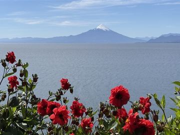 Casa en arriendo en Puerto Varas