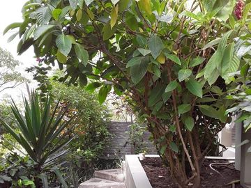 Puerto Lopez - Casa Verde: Se Vende Casa en Zona Rural y Cerca del Mar en Puerto Lopez